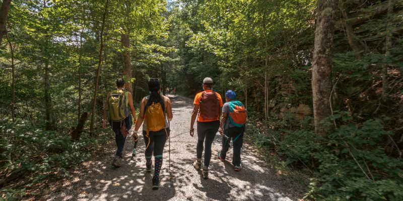 Cabin Getaways Near Chattanooga: The Perfect Escape