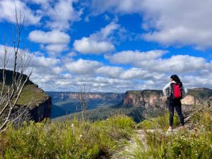 Tiny Cabin Retreat: A Must for the Solo Traveler