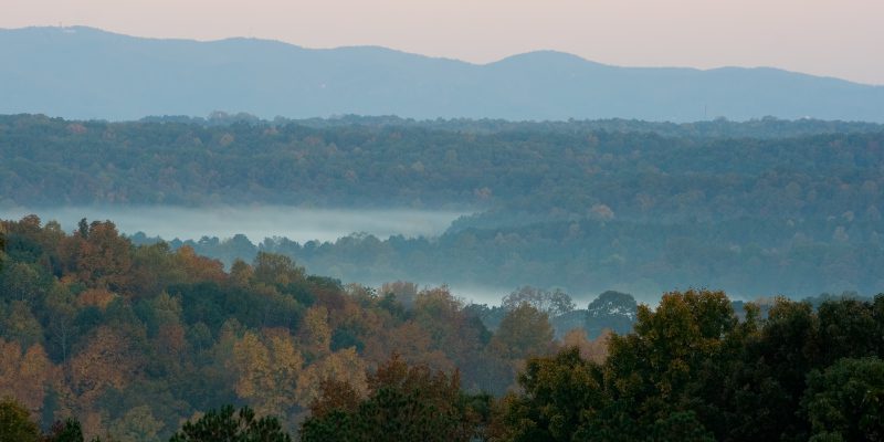 Why Cabin Rentals Trump Hotel Stays 