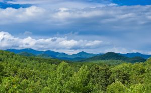 Group Getaways: Why You Should Book All 4 Private Cabin Rentals Together