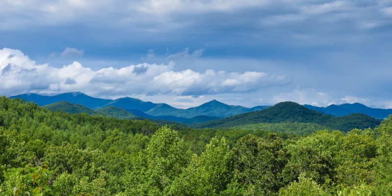 Group Getaways: Why You Should Book All 4 Private Cabin Rentals Together 